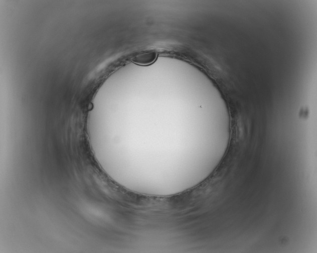 X0000113091158200909182106