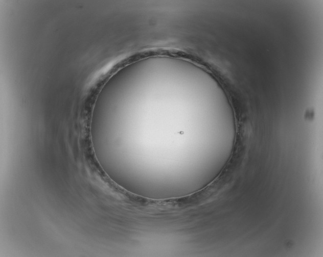 X0000113091159200909182106