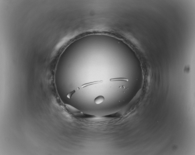 X0000113091160200909182106