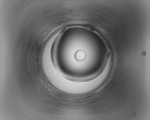 X0000113091161200909182106