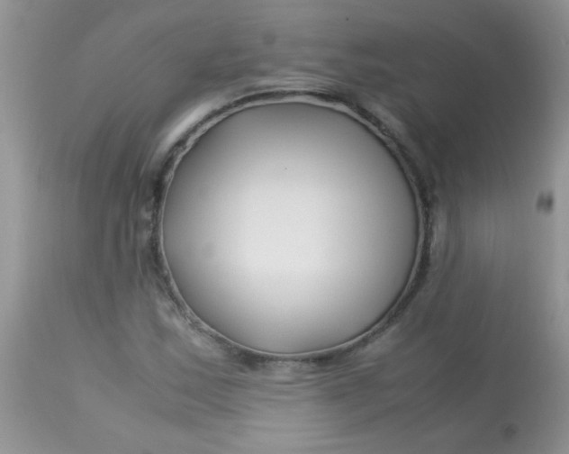 X0000113091163200909182106