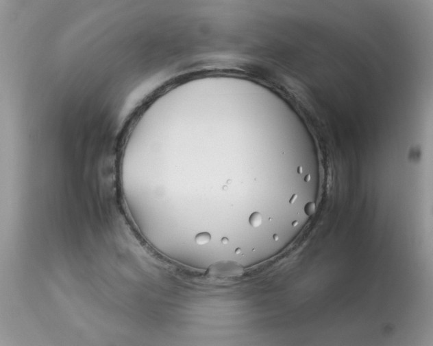 X0000113091164200909182106