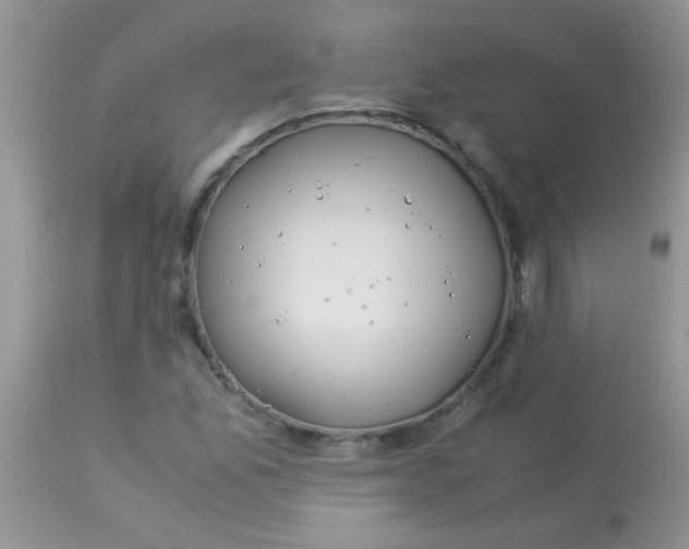 X0000113091165200909182106