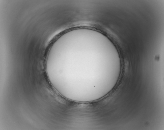 X0000113091166200909182106