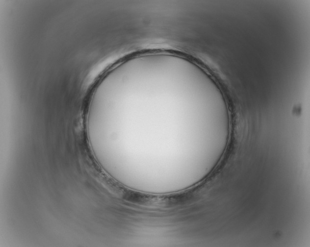 X0000113091167200909182106