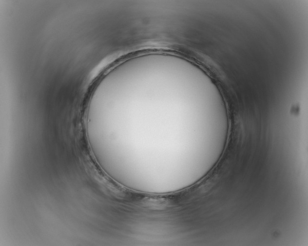 X0000113091168200909182106