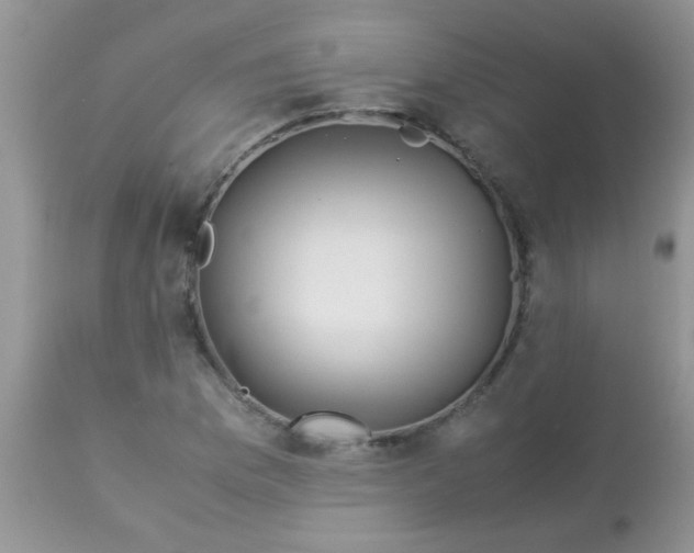 X0000113091169200909182106