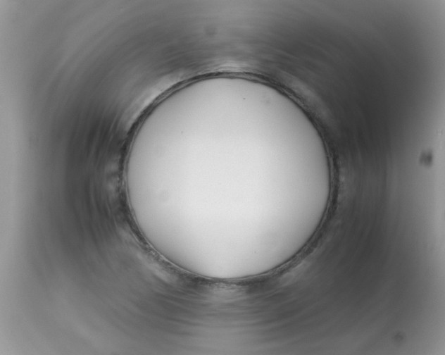 X0000113091170200909182106