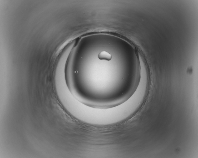 X0000113091173200909182106