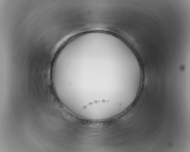 X0000113091174200909182106