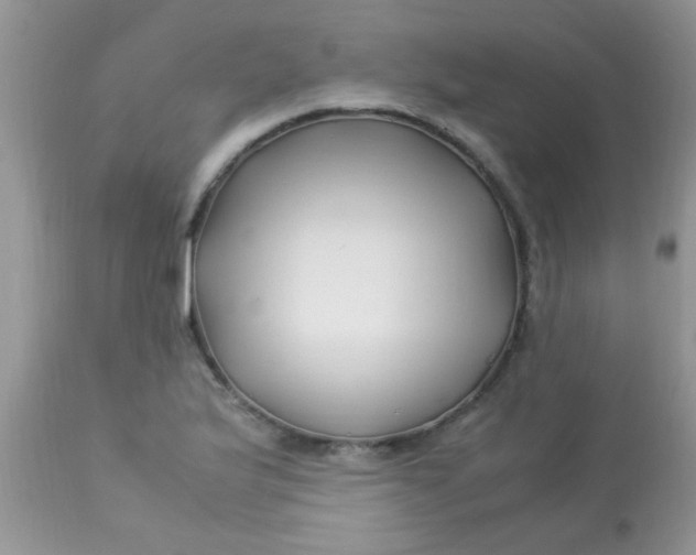 X0000113091175200909182106