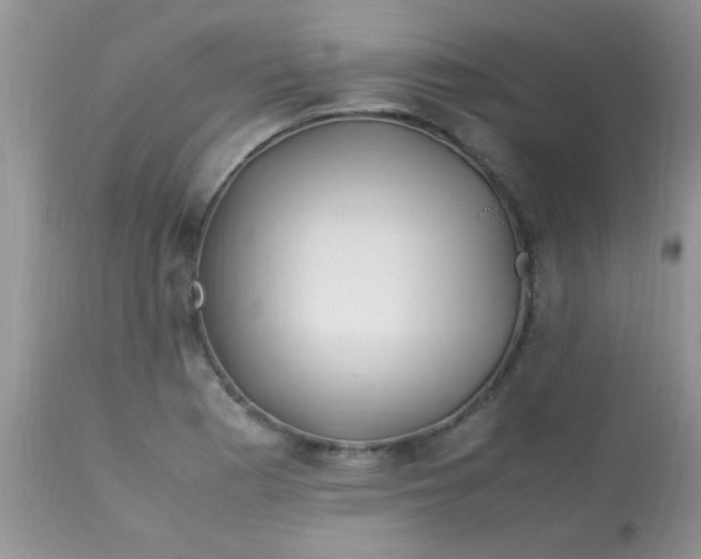 X0000113091177200909182106