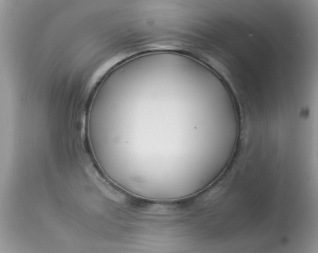 X0000113091179200909182106