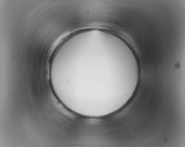 X0000113091180200909182106