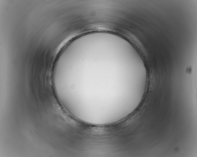 X0000113091182200909182106