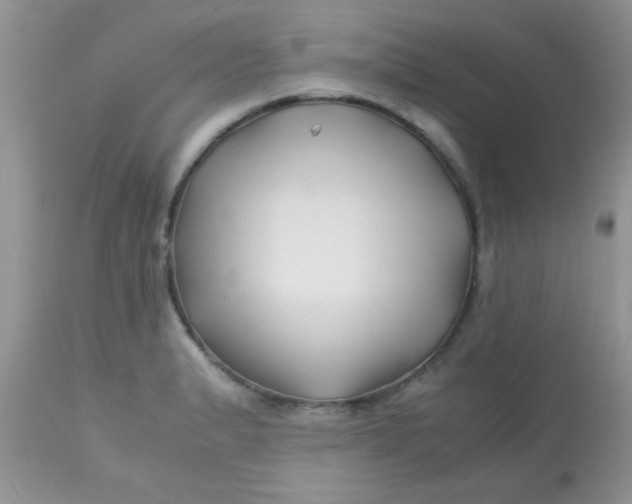 X0000113091183200909182106