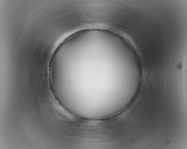 X0000113091184200909182106