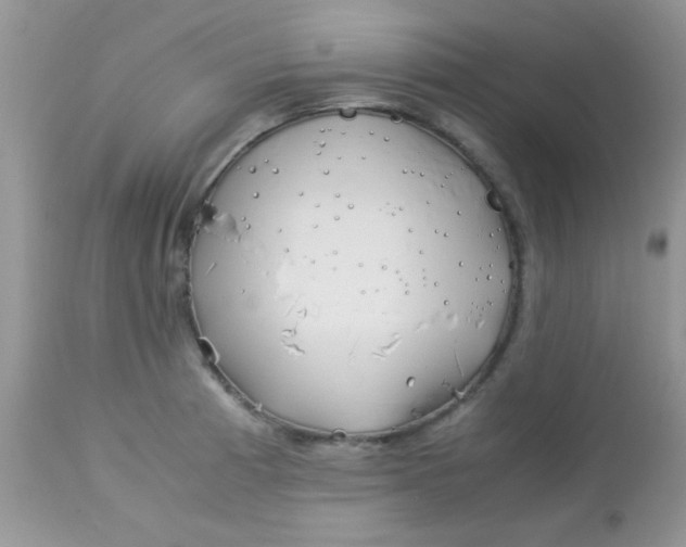X0000113091185200909182106