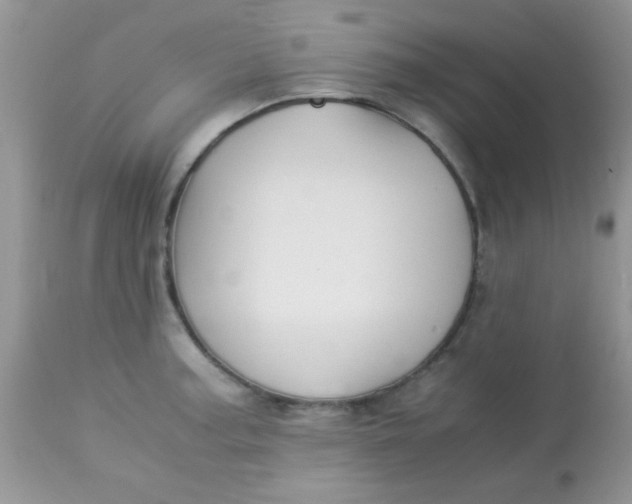X0000113091187200909182106