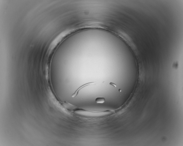 X0000113091188200909182106