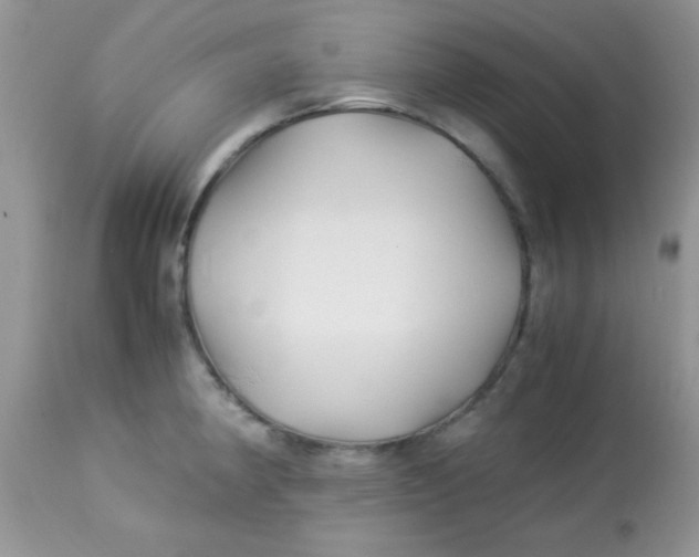 X0000113091190200909182106
