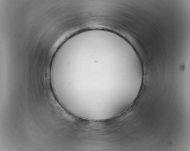 X0000113091191200909182106