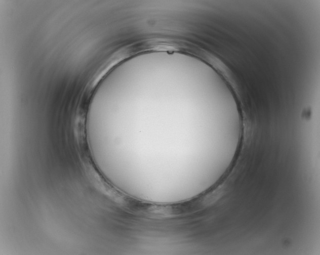 X0000113091194200909182106