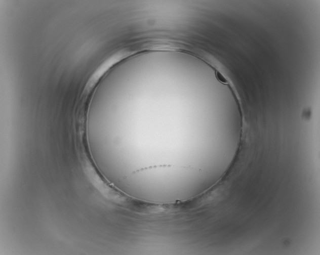 X0000113091195200909182106