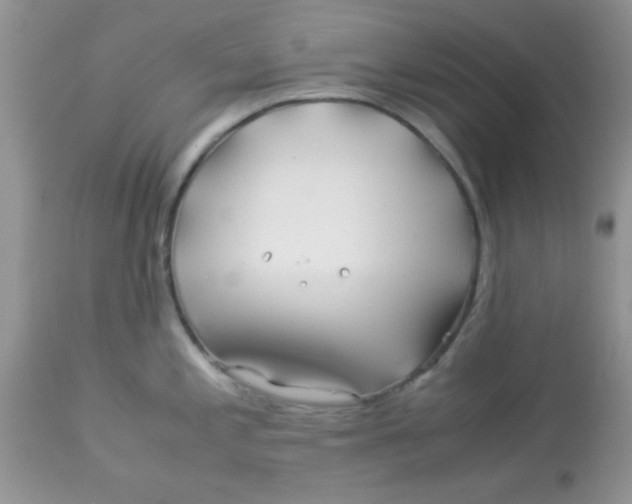 X0000113091197200909182106