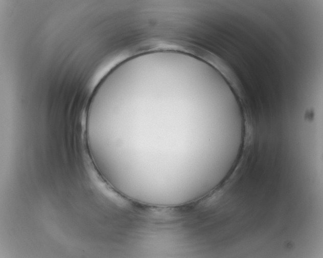X0000113091198200909182106