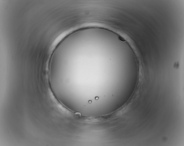 X0000113091199200909182106