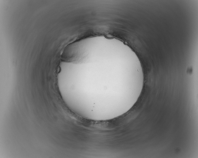 X0000113091201200909182105
