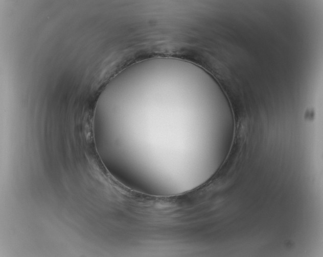 X0000113091202200909182105