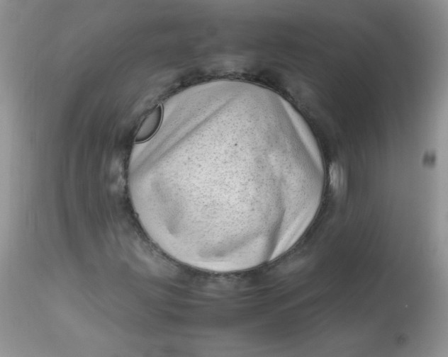 X0000113091203200909182105