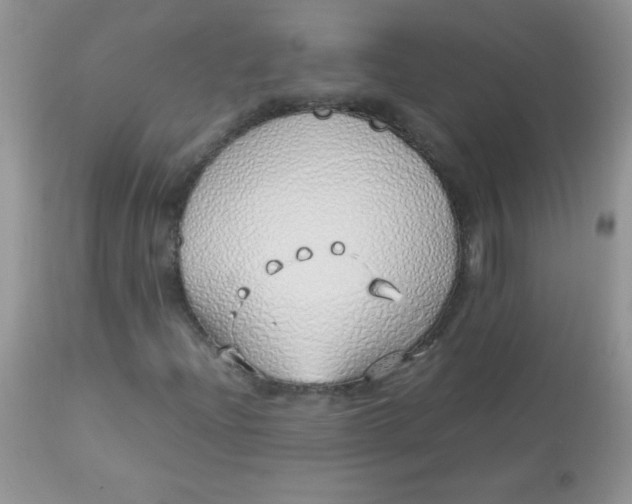 X0000113091204200909182105
