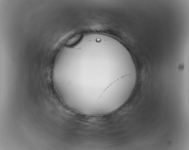 X0000113091205200909182105