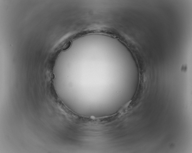 X0000113091206200909182105