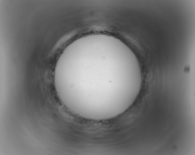 X0000113091207200909182105