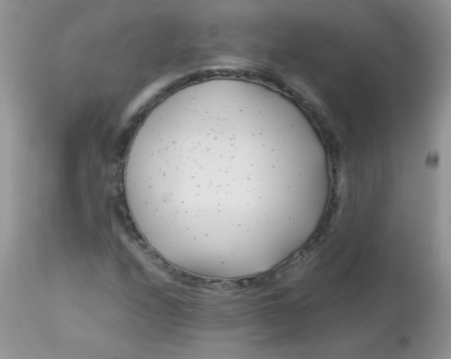 X0000113091208200909182105