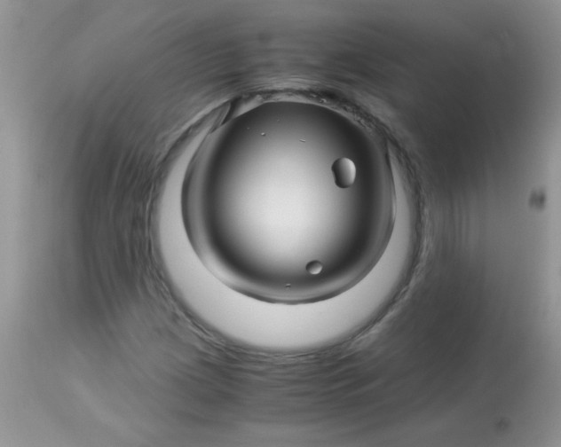 X0000113091209200909182105