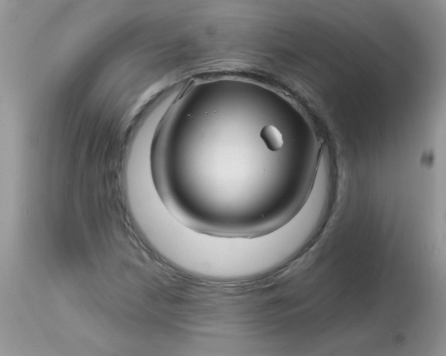 X0000113091210200909182105
