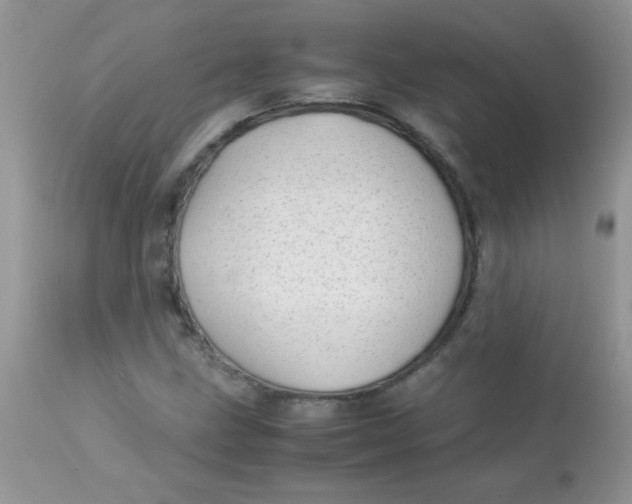 X0000113091211200909182105