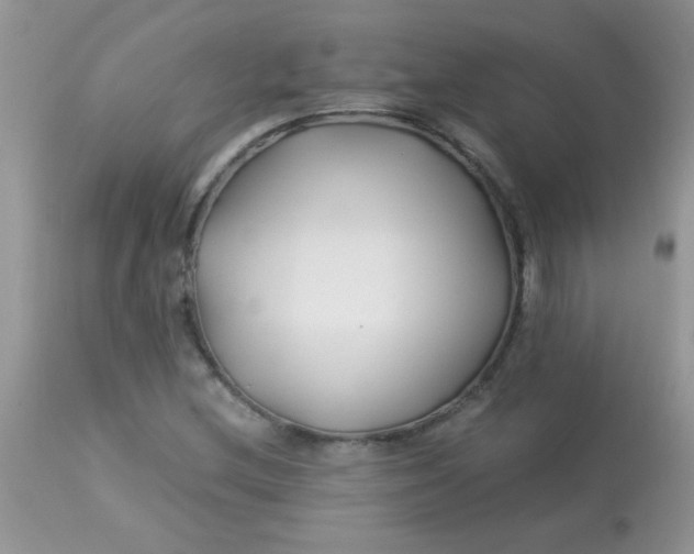 X0000113091212200909182105