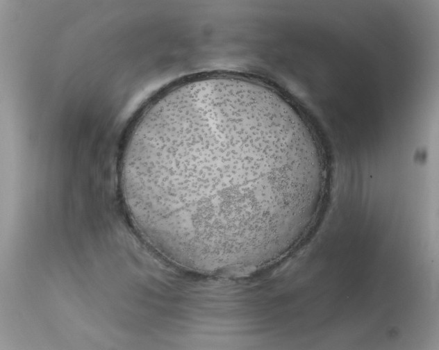 X0000113091214200909182105