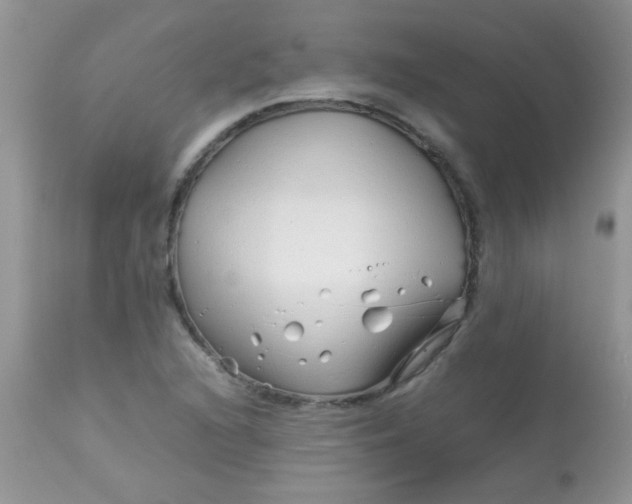 X0000113091216200909182105