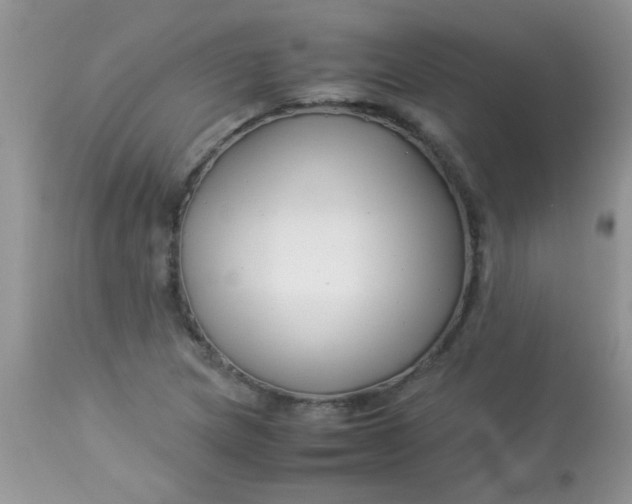X0000113091217200909182105