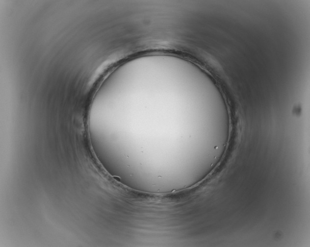 X0000113091218200909182105
