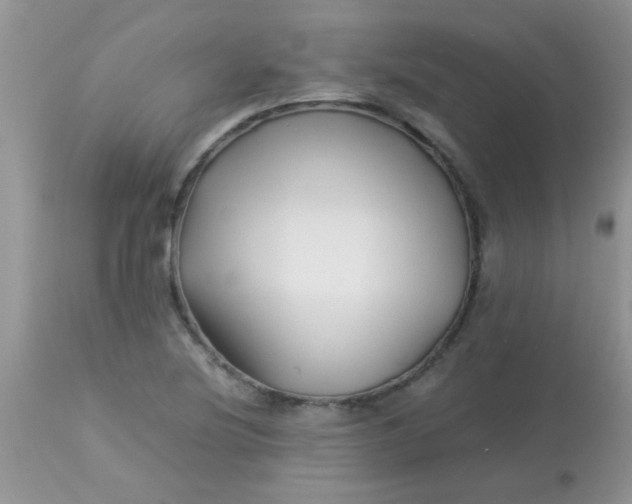 X0000113091220200909182105