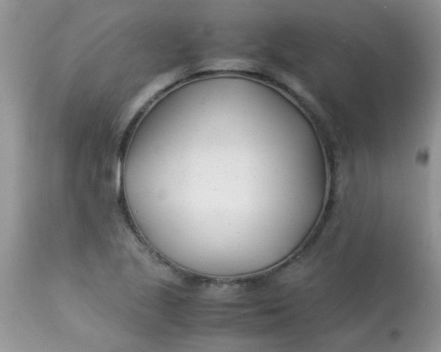 X0000113091221200909182105