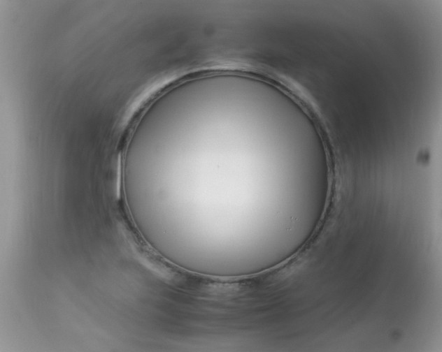 X0000113091223200909182105